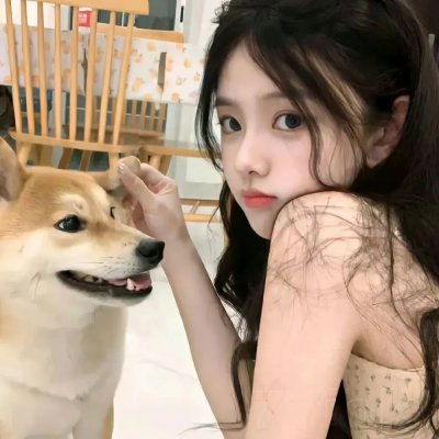 探险活宝第六季